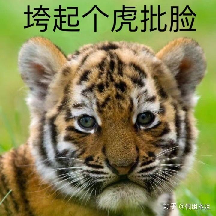 早该上热搜了趁没人扒我来揭它老底