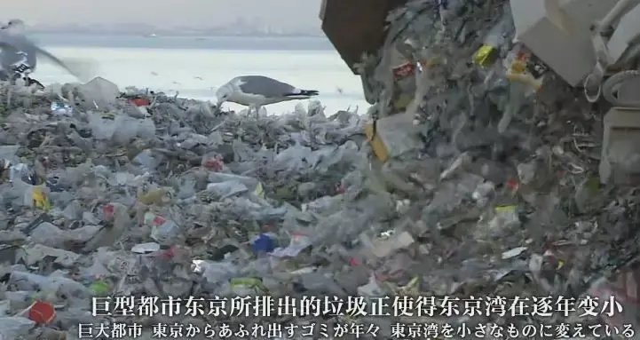 为什么垃圾分类投放在中国进行得不如日本等国