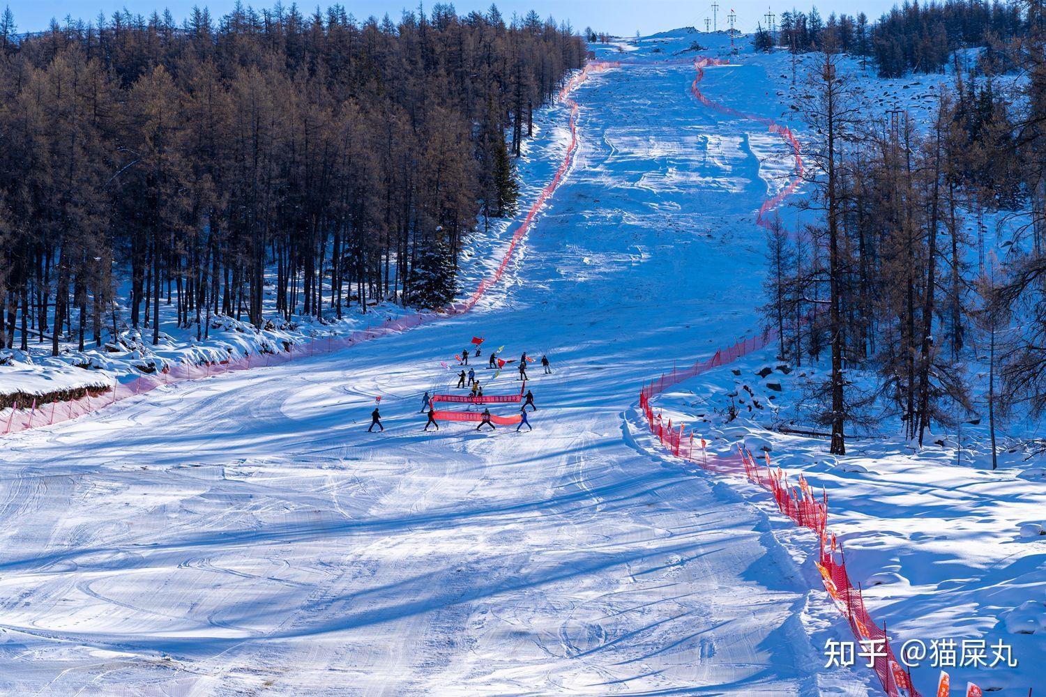2122雪季新疆滑雪如果禾木和可可托海只能选一个你会去哪里