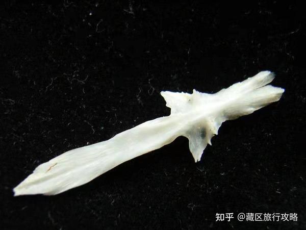 路过雅安才发现，它不应该是一个匆匆而过的地方 - 知乎