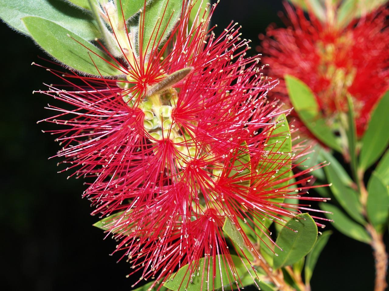 led阅读 多少流明