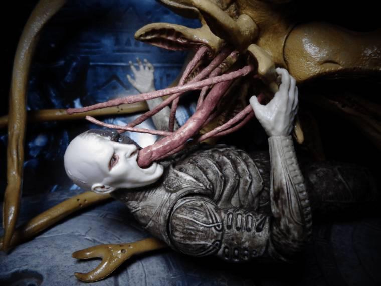 很可爱异形不仅仅是有智力的生物,还有着自己的社会结构,它们有哨兵