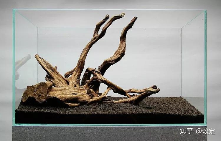 适合新手的60cm杜鹃根草缸造景过程 - 知乎