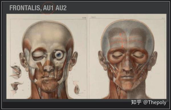 FACS丨面部表情编码系统1 - 知乎