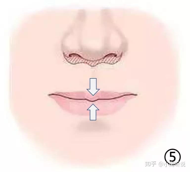 ① 圆唇运动② 展唇运动③圆展交替运动④唇齿接触运动⑤ 双唇闭合