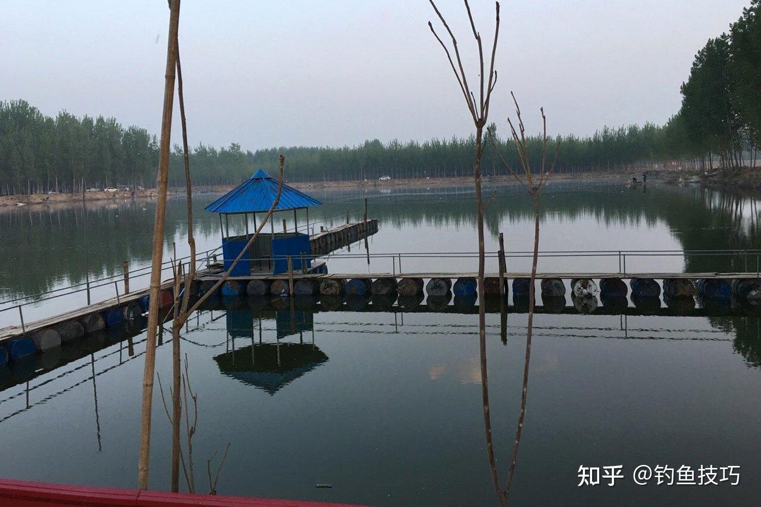 钓位400多个,正钓放鱼量十吨起,对标的是静海花园