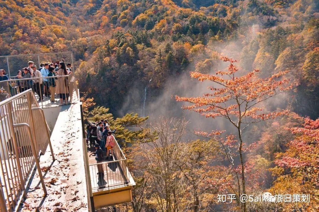 [日本自由行]日光的秋天有点好看 | 日本红叶系列一 - 知乎