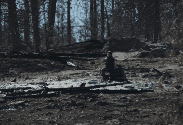 《火车梦》口碑爆了！它凭什么横扫年度十佳榜单？