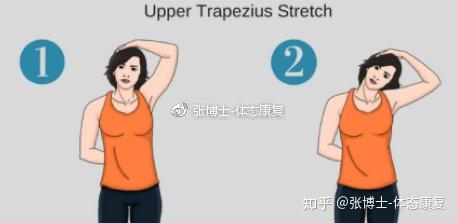 【体态矫正】高低肩的形成机制与矫正方法