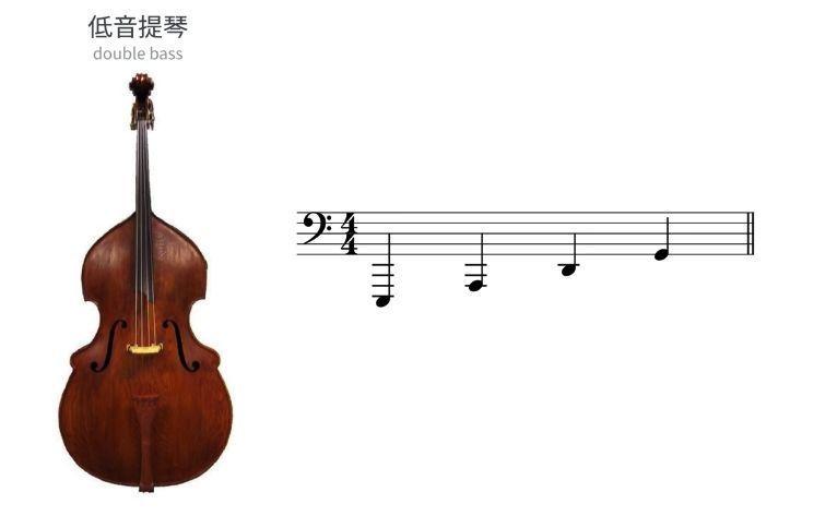 下图是低音提琴的定弦.