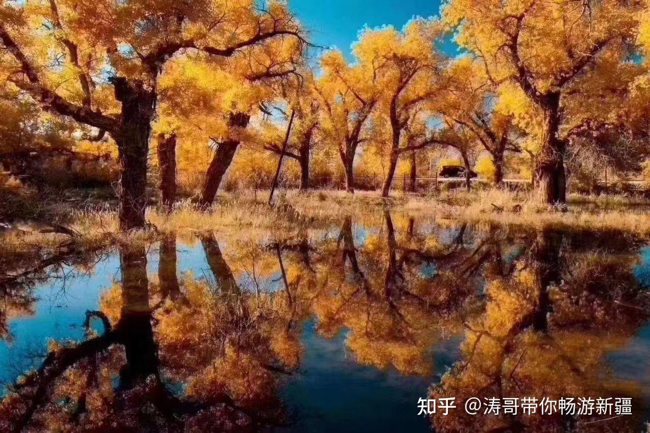 南疆胡杨林攻略干货来了,攻略带线路 - 知乎