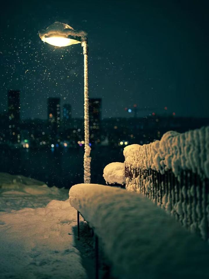 雪夜 - 知乎