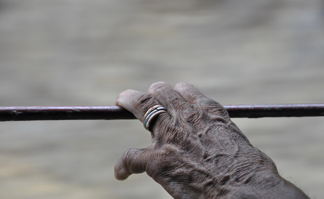 麻梨疙瘩市场前景