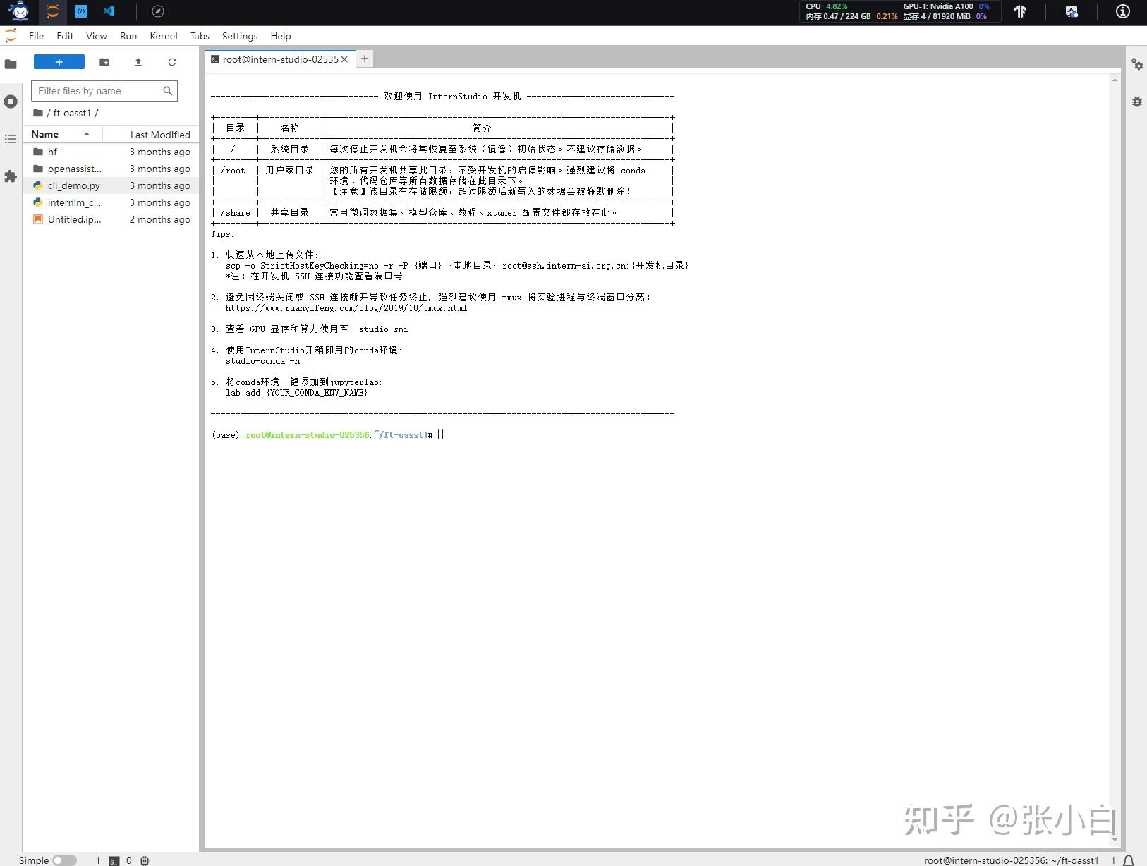 Llama3 3 xtuner llama3 internstudio 