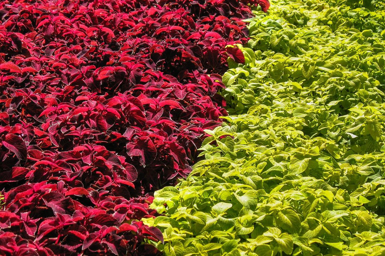 3. 地毯吸热技巧