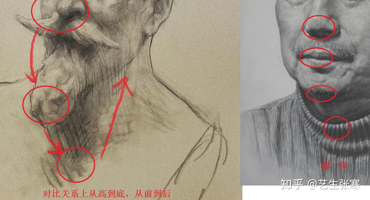 什么是素描基础？