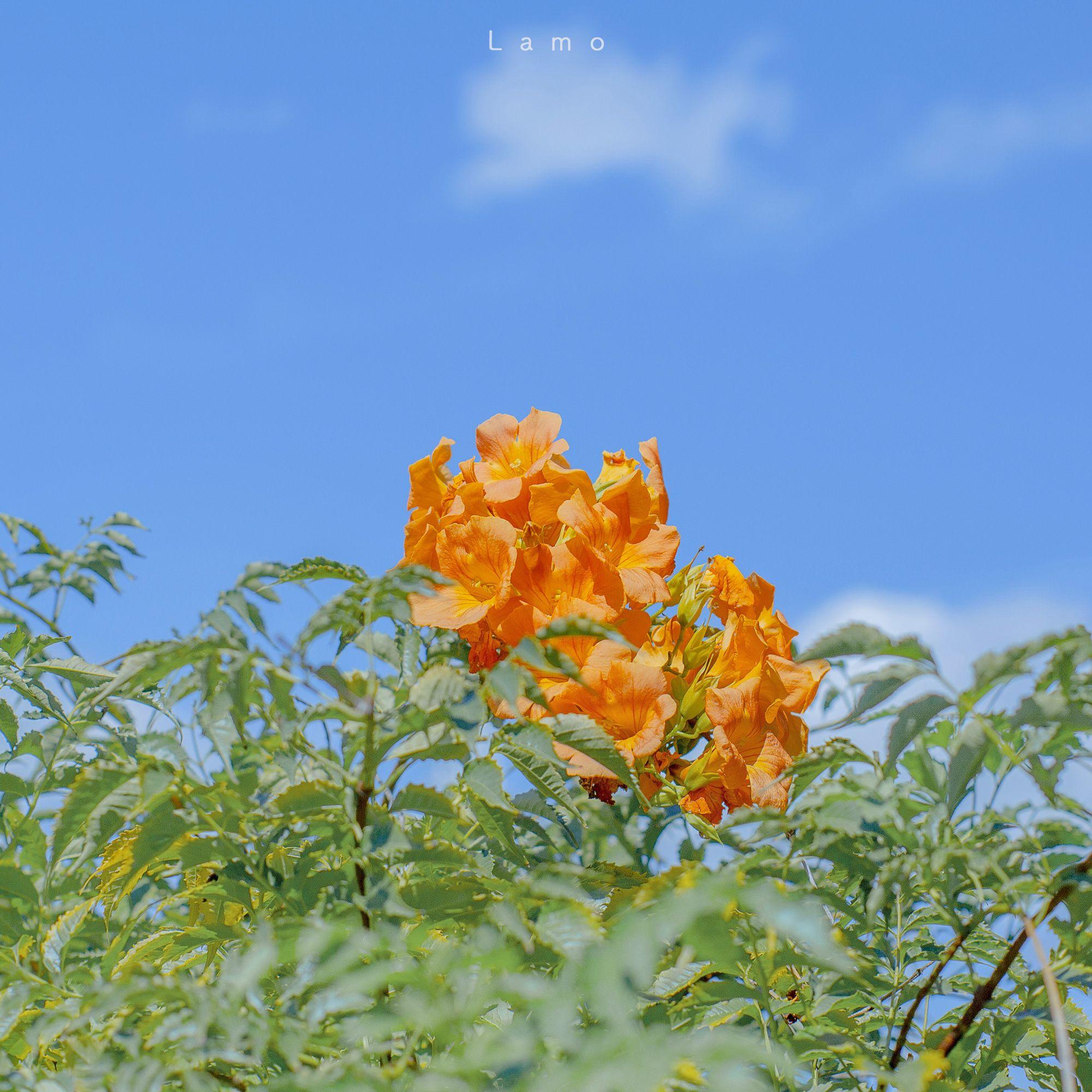 有哪些干净简洁的的微信背景图? - 知乎