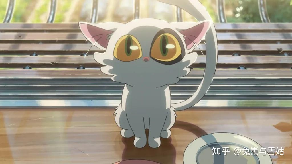 盘点那些动漫里的猫,附精美剧照! - 知乎
