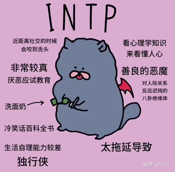 INTP女生给人的感觉 - 知乎