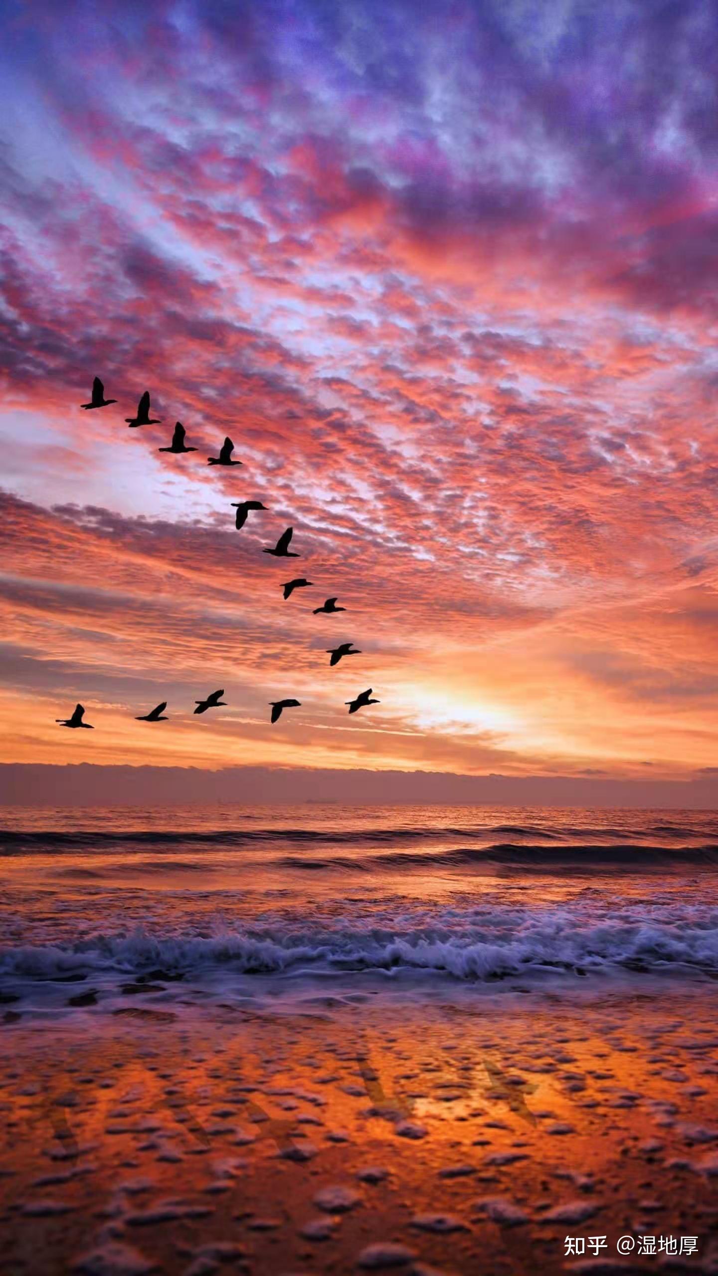 落日落霞 - 知乎