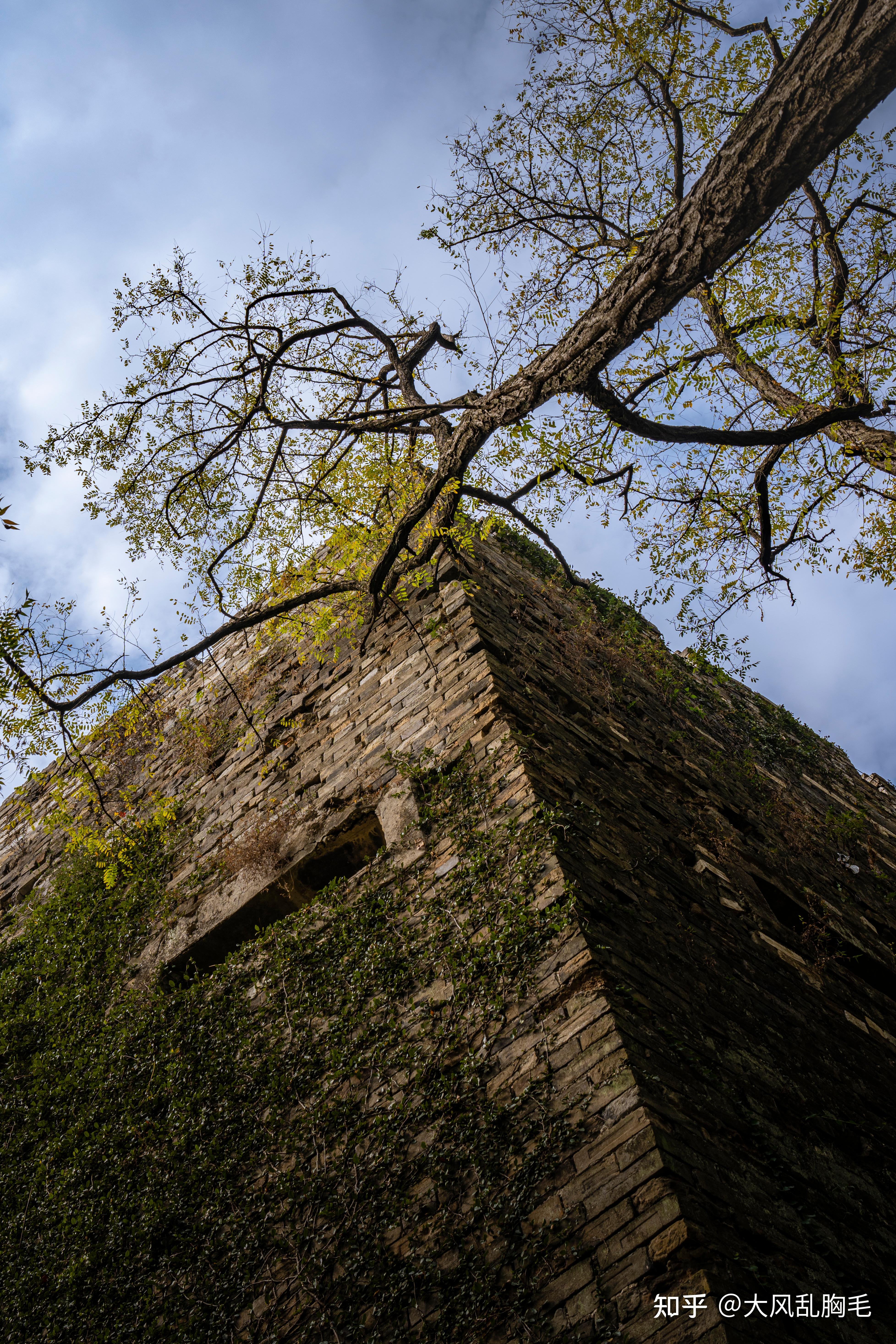 可以分享一下你用索尼a7m4拍的照片吗? - 知乎