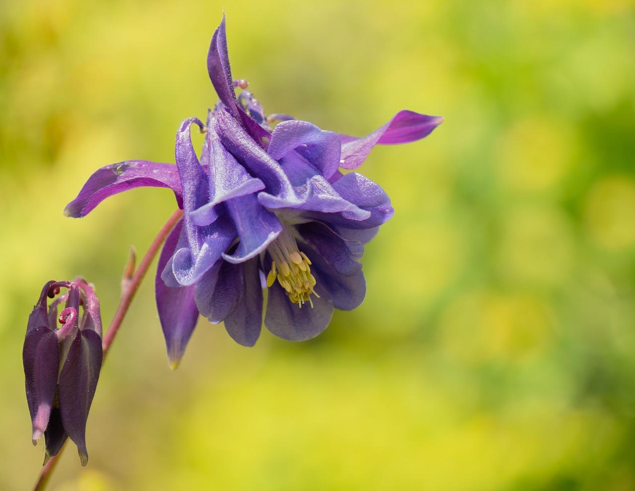 学区房选购注意事项