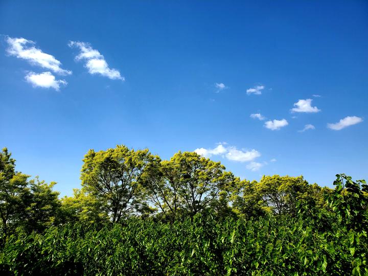 在洛阳执政的帝王北魏孝明帝元诩 知乎