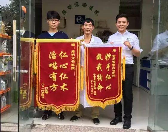 看了这么多锦旗感觉现在没两把刷子都不好意思去看医生了想到不久的