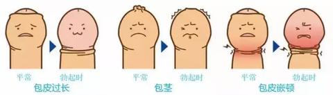 合了个体