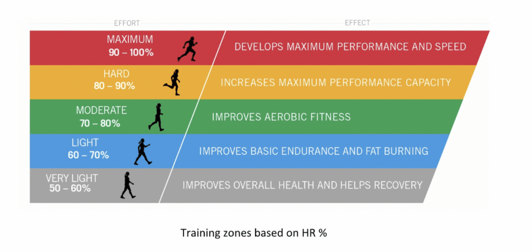  HIIT Vs ZONE 2 