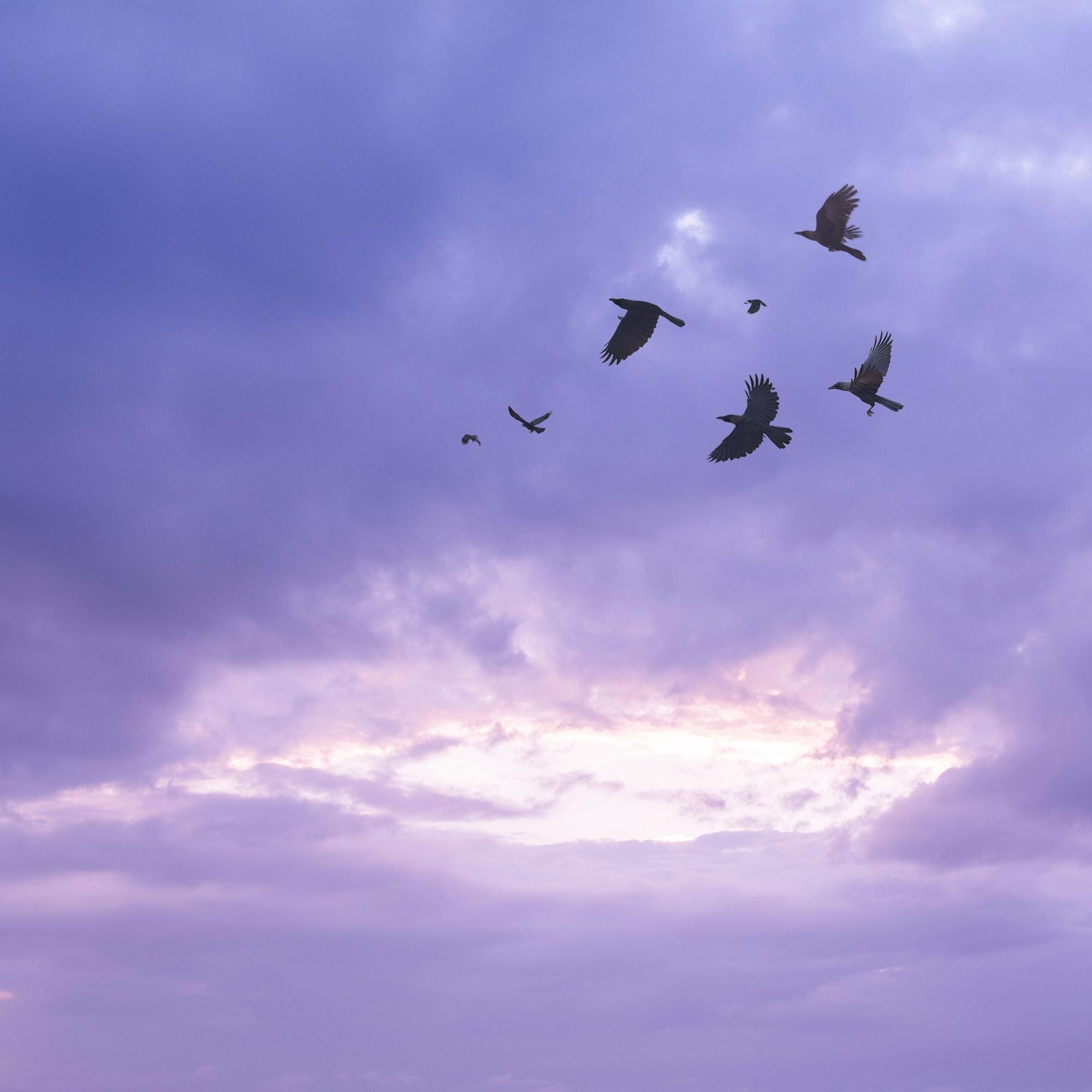 配图是好看的云该用什么文案
