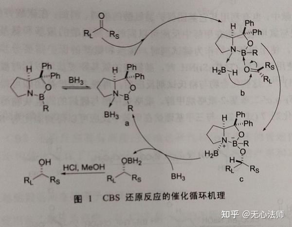 《现代有机反应》-第十卷-胡跃飞-林国强 - 知乎