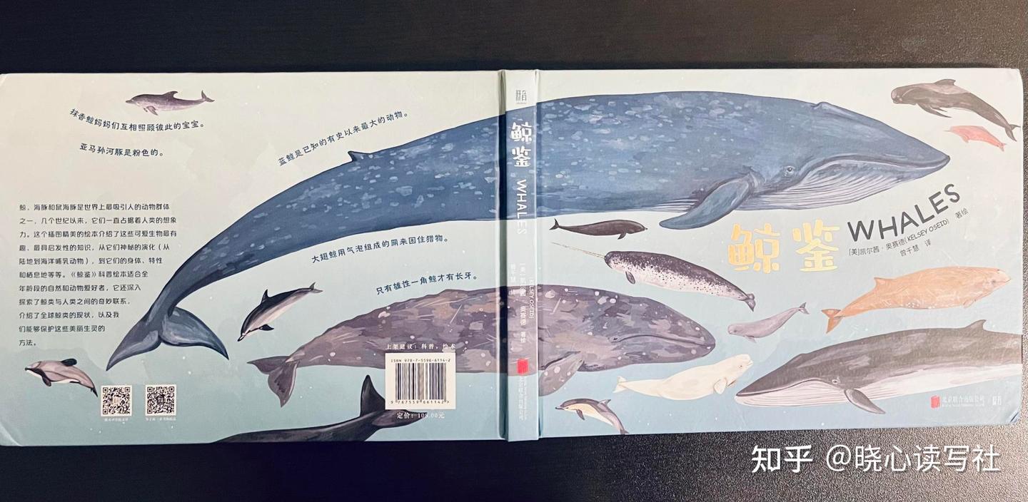 鲸鉴》：手绘图鉴带你走入鲸的世界- 知乎