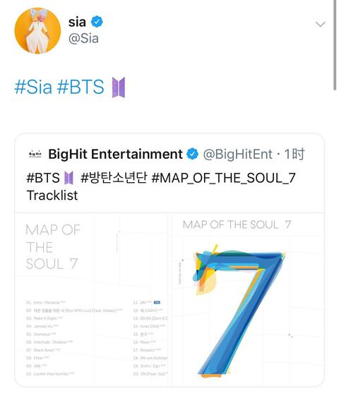Sia 歌手 知乎
