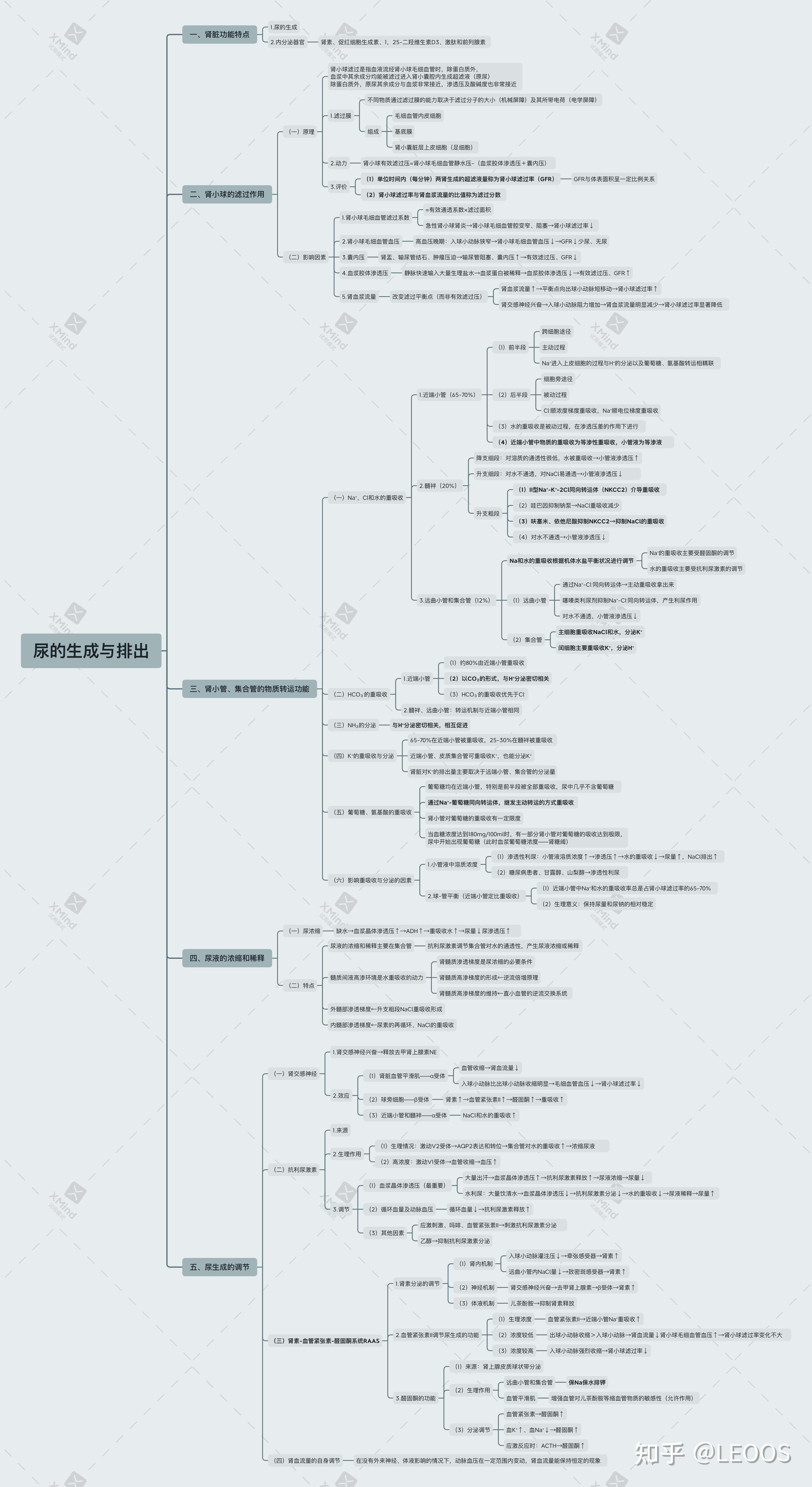 生理学思维导图第二章图片