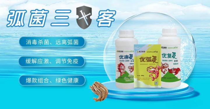 水产养殖弧菌泛滥，这些问题你一定要清楚！ - 知乎