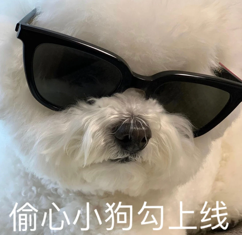 你都存了哪些沙雕表情包? - 知乎