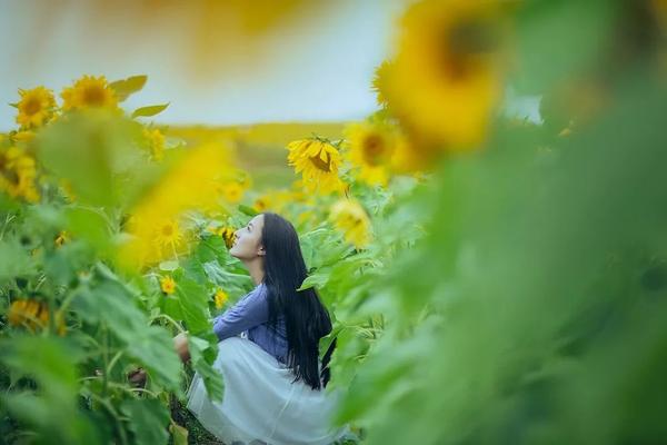 一个女人最好的生活状态,不是事业有成,不是婚姻幸福,而是