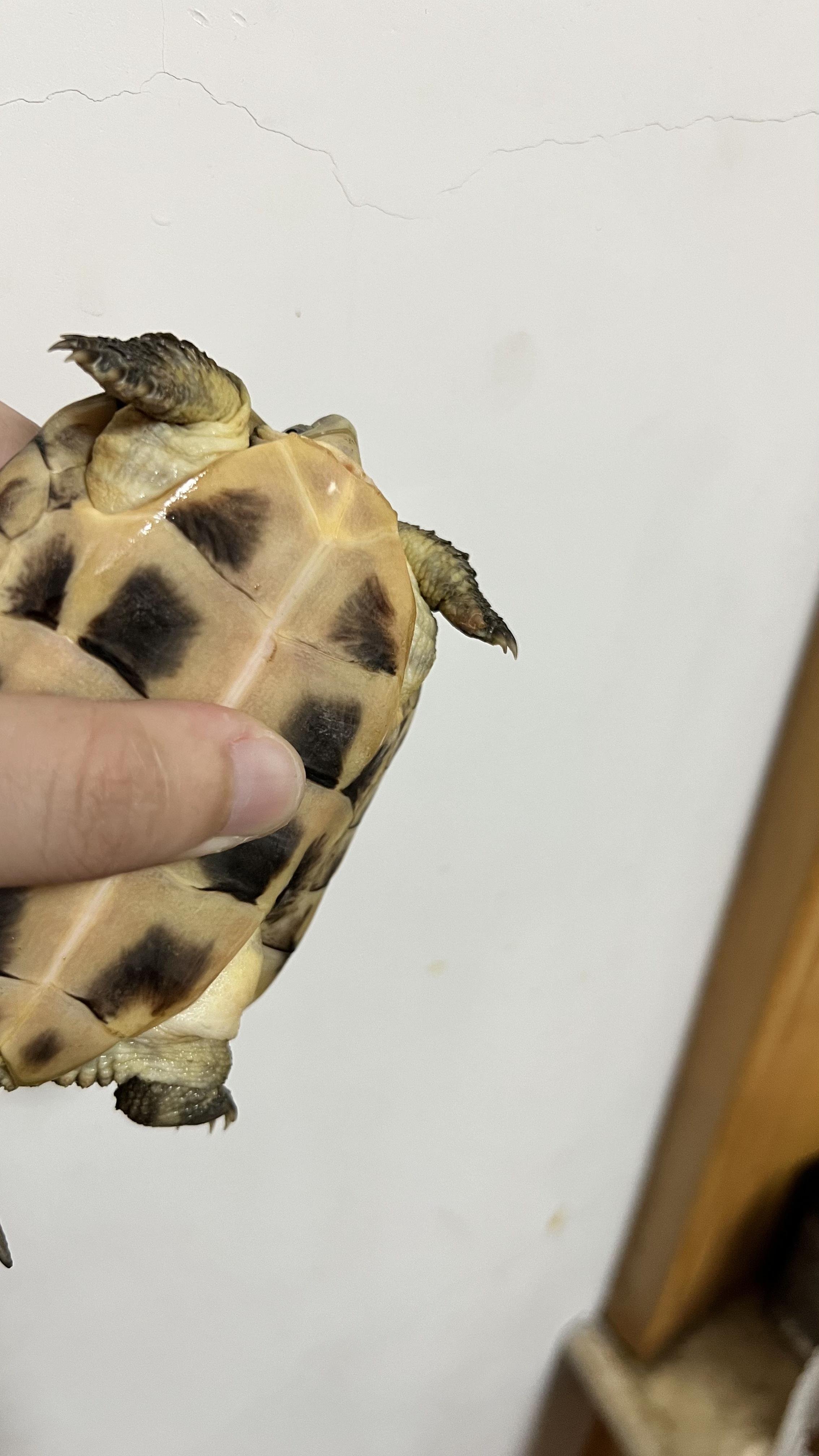 怎样治疗?