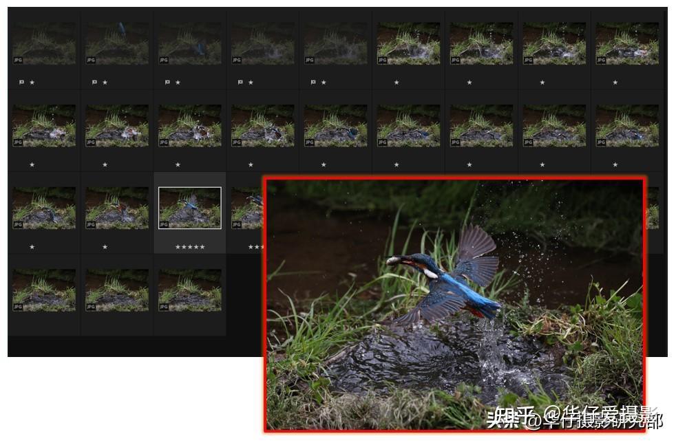 Canon鏡頭收購
