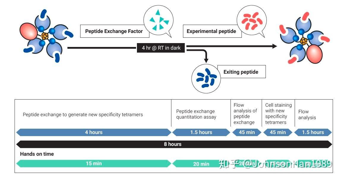 5. tetramer相关试剂