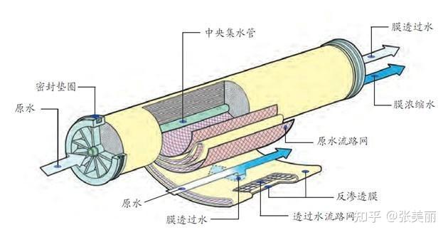 v2-19e79fb99a76701d2c82c97f8a72f740_r.jpg