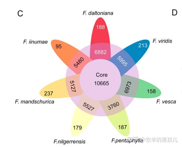 跟着PNAS学作图：R语言ggplot2花瓣图展示泛基因组分析中核心和可变基因 - 知乎