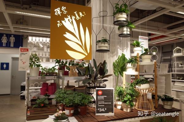 宜家绿植系列探秘 探索不一样的夏天 知乎
