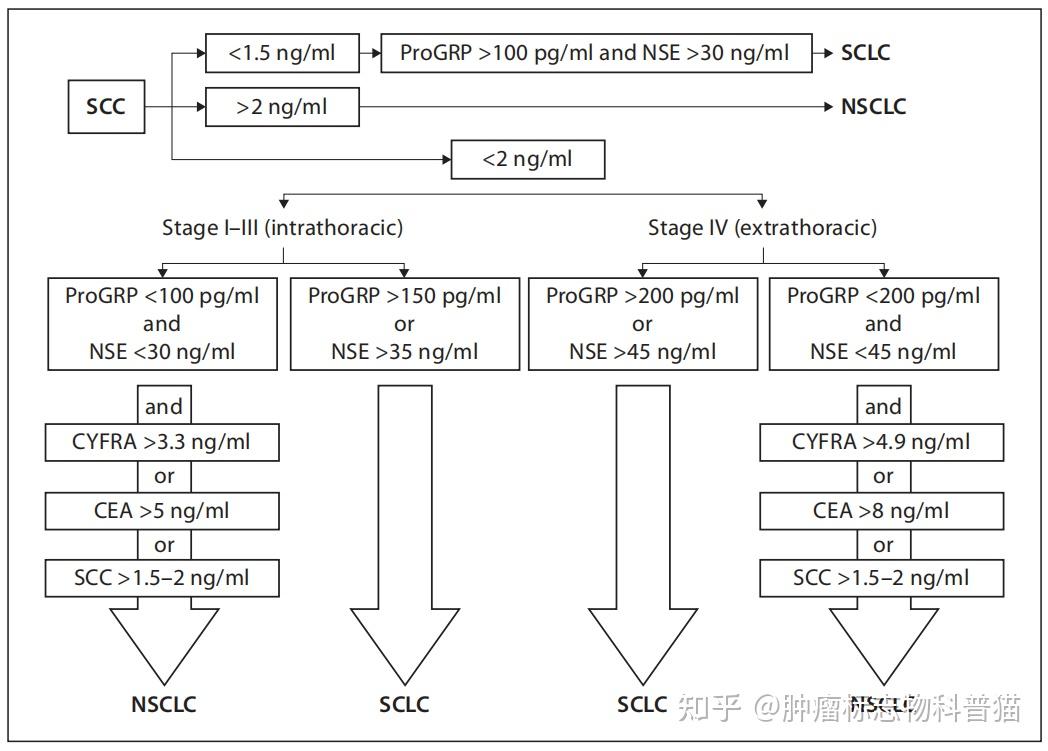 肿瘤标志物科普系列胃泌素释放肽前体progrp