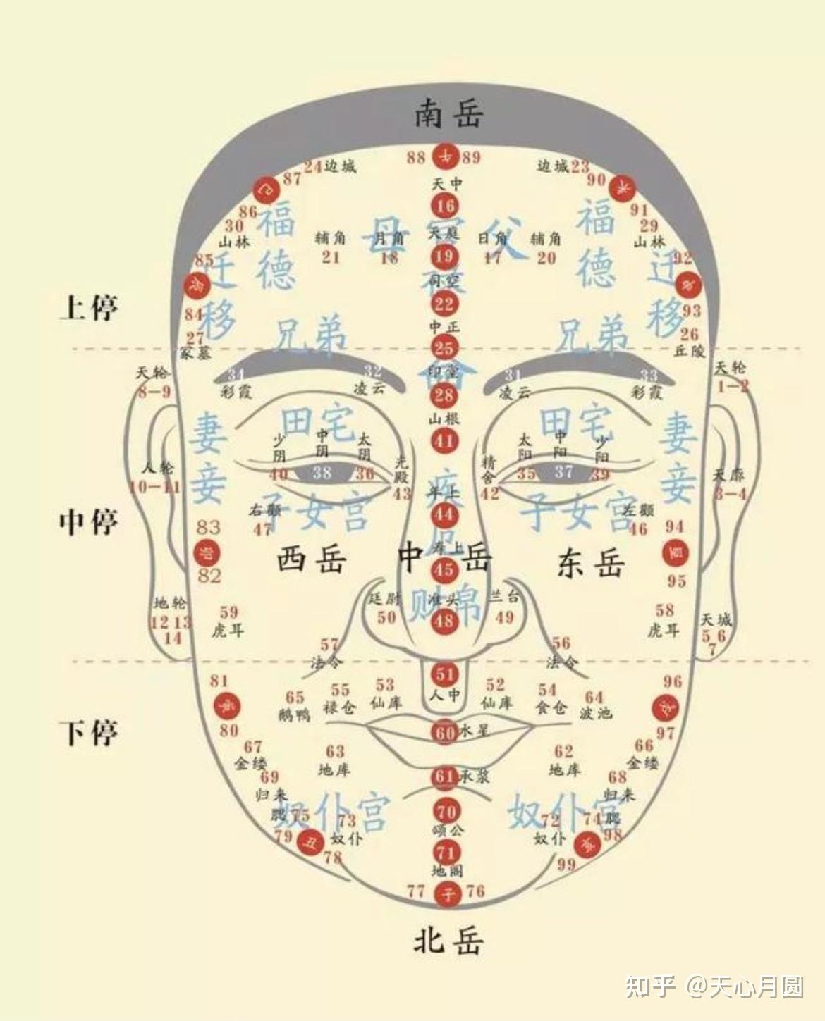 面相流年部位图清晰图片