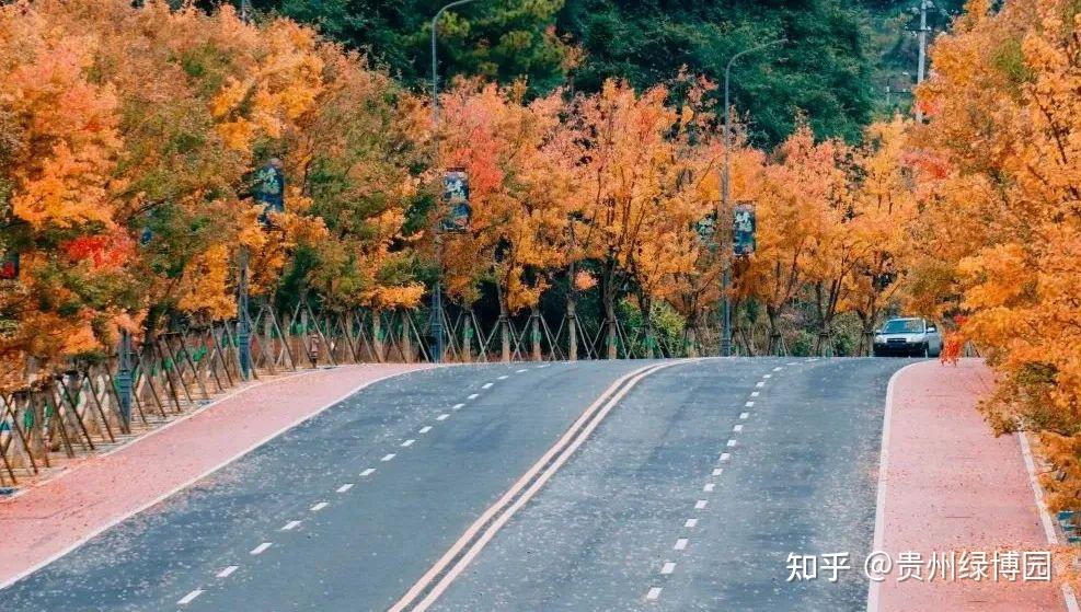 尾款人的酒店福利,99元即可入住都匀台酒店-都匀台酒店招聘