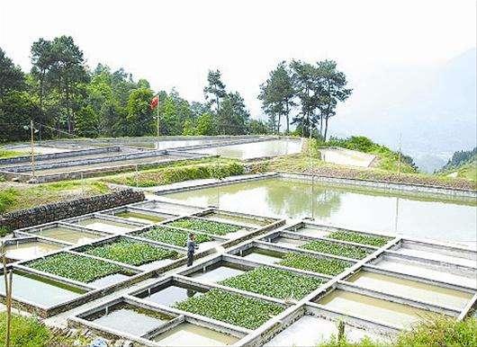 黄鳝池建造图片图片