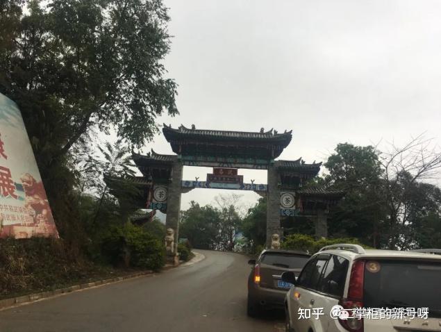 春茶笔记6古六茶山之倚邦的无用冷知识