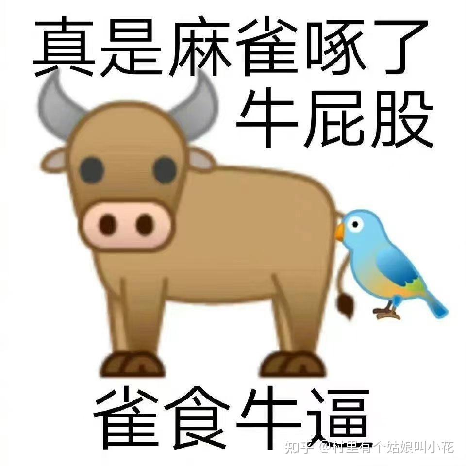 小母牛系列歇后语表情包